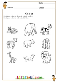 Color Domestic Animals With Yellow And Wild Animals With Blue,Teachers  Resources,Pre School Activity Sheets