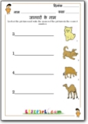 Animal Names Worksheets,Teachers Worksheets,Downloadable Hindi Worksheets