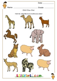 Circle The Herbivorosu Animal Worksheet For Kids,Downloadable Activity  Sheets,Kindergarten Activity Sheets