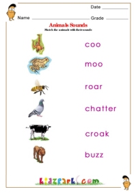 Match the Animal with their sounds