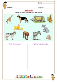 Classify Pet and Wild Animals