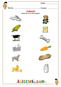 Animals and their food