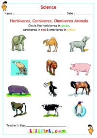 Herbivores, Carnivores, Omnivores - Worksheet for kids