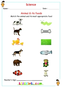 Animals and its food - Kids Science