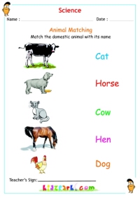 Match the Animal Names