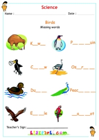 Names of Birds