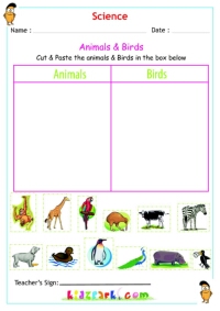 Animals Worksheet for Kids, Science Activity sheet 