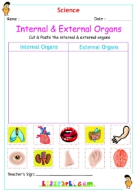 Sense Organs, Body Parts Worksheet