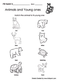 Science Worksheets,Animal and Its Young Ones Matching Worksheets,Play  School Activity Sheets