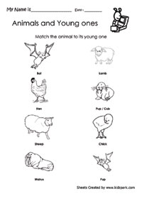 Match The Animal And Its Young One,Teachers Teaching Aid Worksheets,Downloadable  Activity Sheets