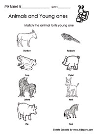 Find the young one of the animal, Printable worksheet for kindergarten