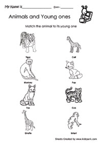Matching Worksheet With Animal And Its Young One,Matching  Worksheets,Kindergarten Curriculam