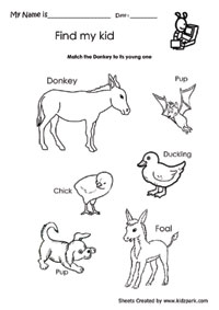 worksheet to help donkey to search its young one kindergarten activity sheets science teachers resources