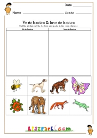 Vertebrates and Invertebrates Worksheets,EVS Worksheets,Kindergarten