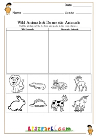 Wild animals and domestic animals-6