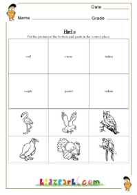 Birds Worksheets,Cut and Paste Worksheets for 2nd Grade,Printable
