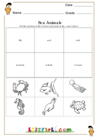 Sea animals Worksheets,Early Teaching Worksheets,Downloadable Activity