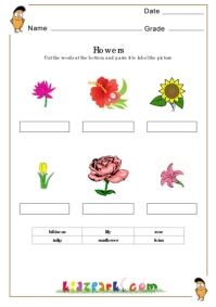 Flowers Worksheets,Environmental Worksheets for Kids,Teachers Printables