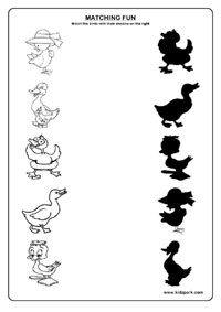 Birds Worksheets,Activity Sheets for Toddlers,Kindergarten Curriculam