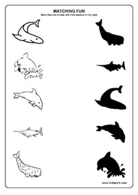 Sea Animals Worksheets,Play School Activity Sheets,Matching Worksheets