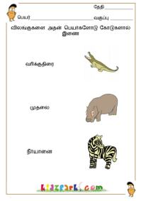 Tamil Animal Names Worksheets,Kids Activity Sheets,Home Schooling Worksheets