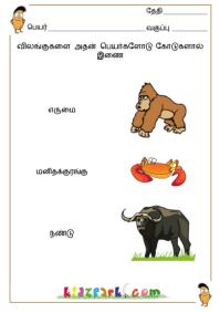 Tamil Animal Names Worksheets,Play School Activity Sheets,School Worksheets